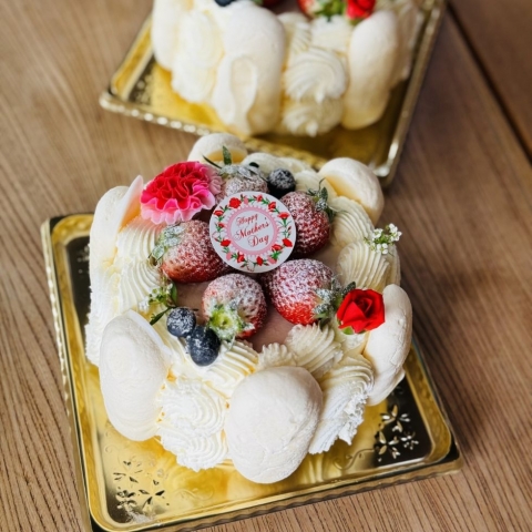 �o�V������