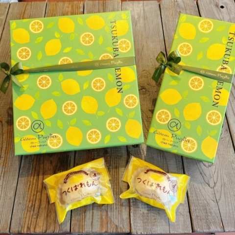 ���΃������M�t�g