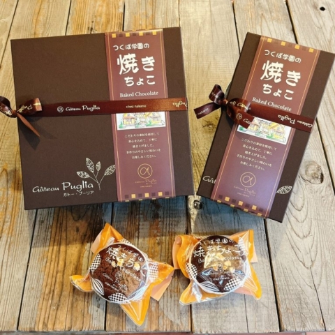 �Ă��`���R�M�t�g