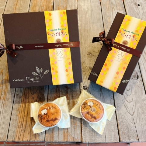 ���΃}�����M�t�g