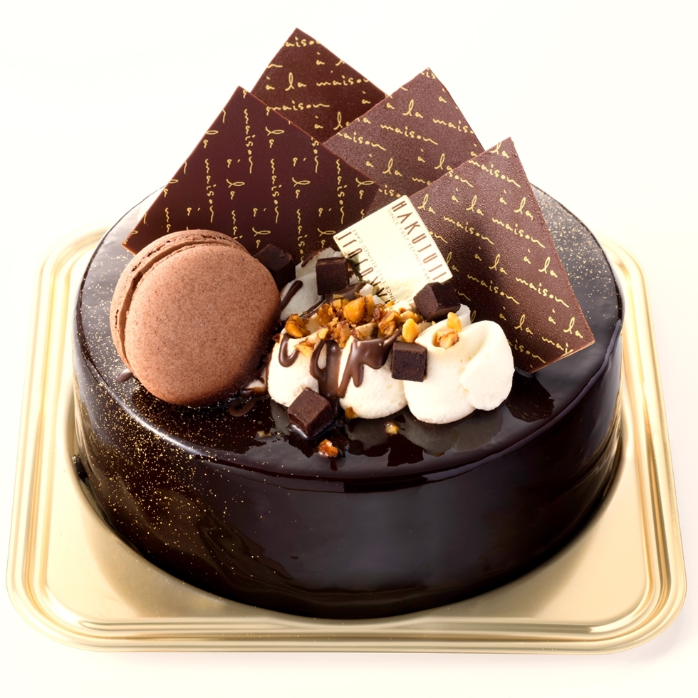 �V���R���g���e