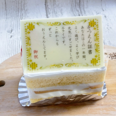 <hn>������؏��V���[�g</hn>