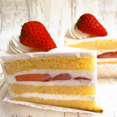 <hn>���n�������̃V���[�g</hn>