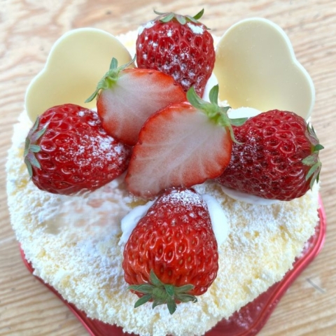 �v�`�[�Y�i�f�R���[�V�����j