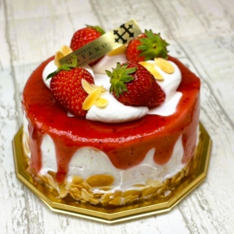 <font color="red"><hn> �������̃~���N���[�v�V���[�g�f�R���[�V����</hn></font>