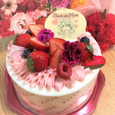 <font color="red"><hn> ��̓��t�����[���N���[���f�R���[�V����</hn></font>