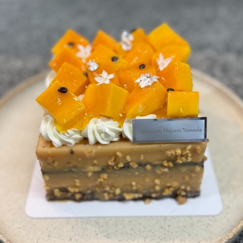 �o�p�}���K�S�[���h