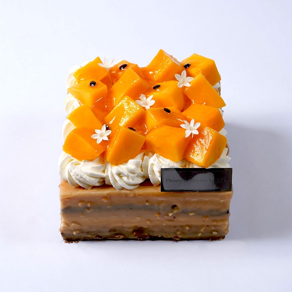 �o�p�}���K�S�[���h