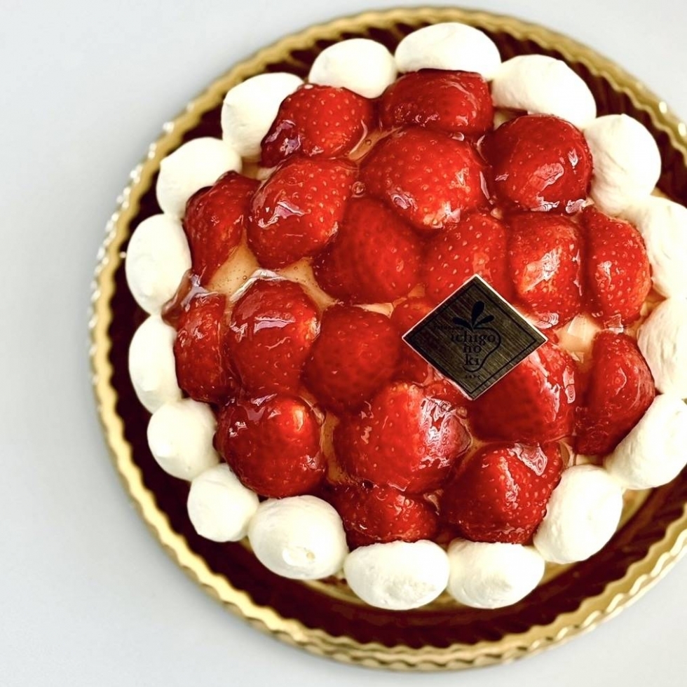 ���܂����̃L���O�p�C