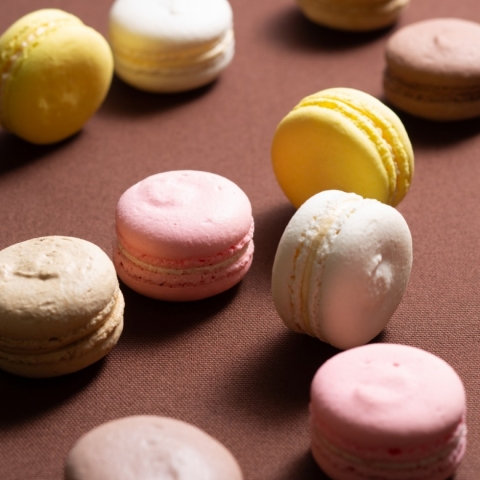 ���Ɛ��}�J�����i�P�i�j