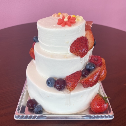 �X�y�V�����e��SS�I�R�i�f�R���[�V������