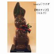 チョコうさぎ 204.jpg