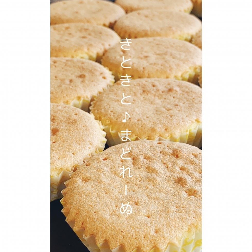 きときとまどれーぬ 12個入