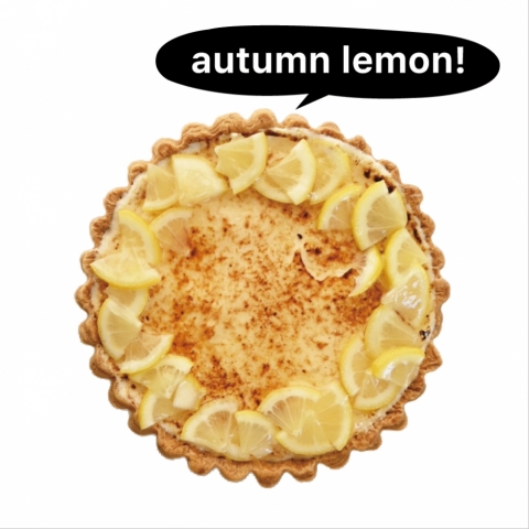 ���˓��������̃V�u�[�X�g�@���a21�p