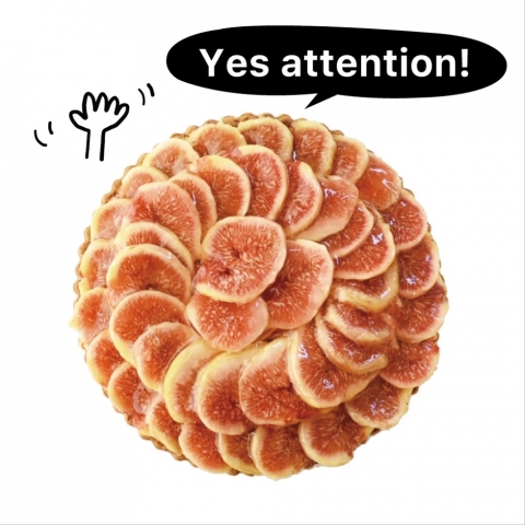 ���쌧�Y�E���{���������̃^���g�@���a12�p�`