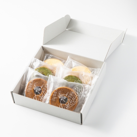 �o�[���N�[�w��6��