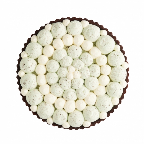 �y���������I�`���R�D������K�H�I�z�`���R�~���g�̃^���g�@���a21�p