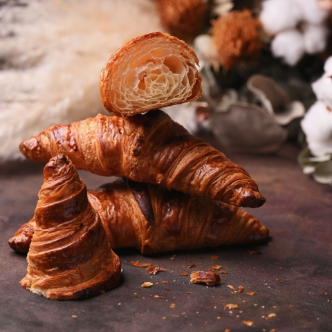 �N�����b�T��