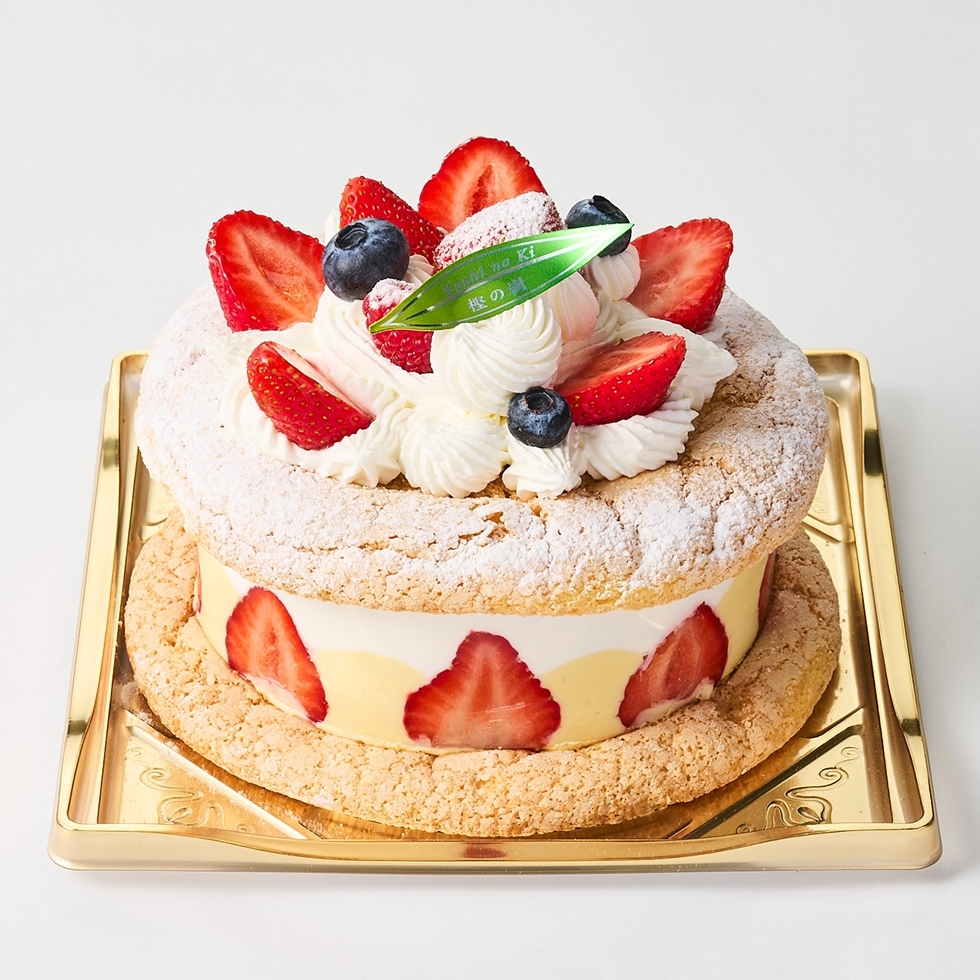 ���������T���T�C�Y