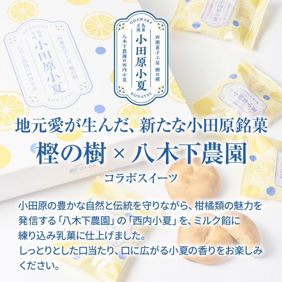 樫口 