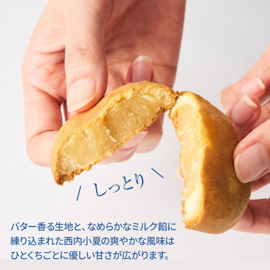 樫口 小田原小夏 樫の樹