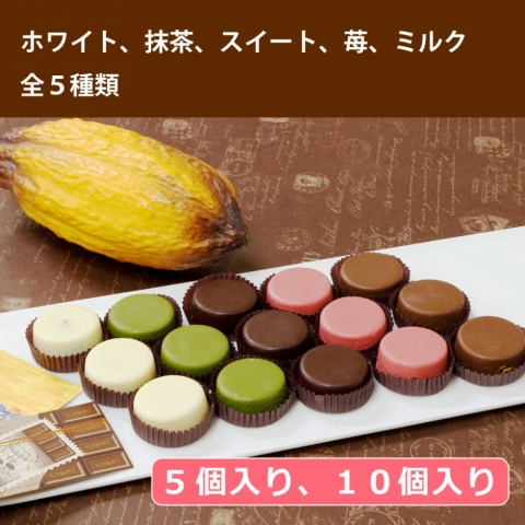 ���b�V���_�}���h