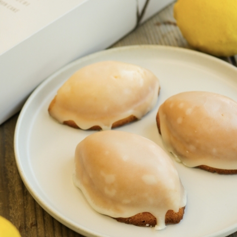 �L�����˓��������P�[�L