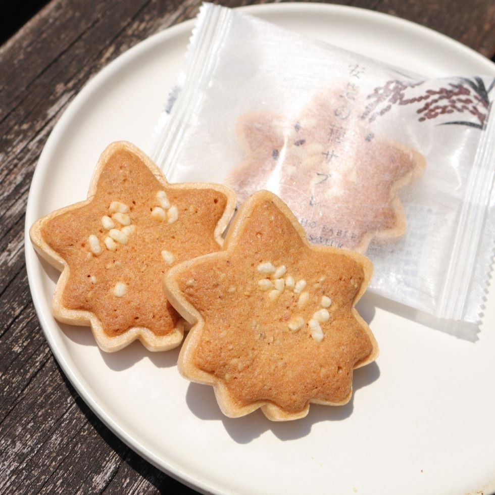 ���|�̕�T�u��