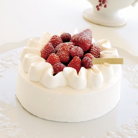�K�g�[�E�t���[�Y�i�������̃V���[�g�P�[�L�j