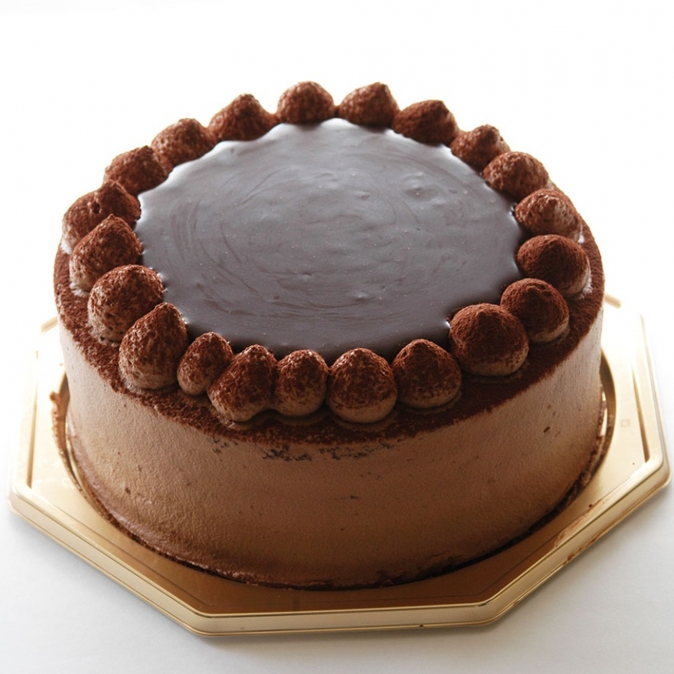 �V���R���E�V���R��