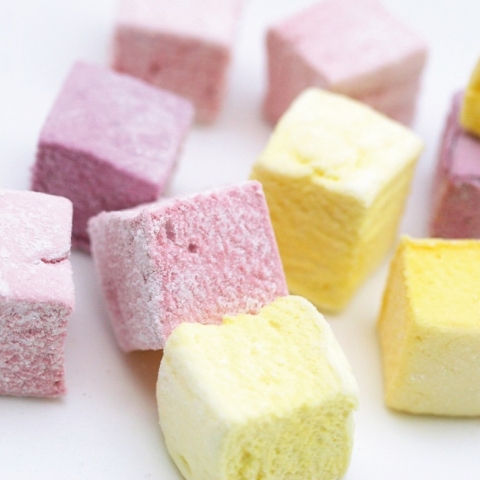 �M���[���v�����^��