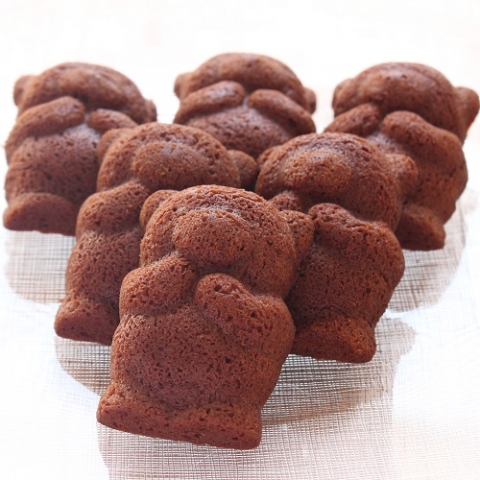 �V���R���E�x�A