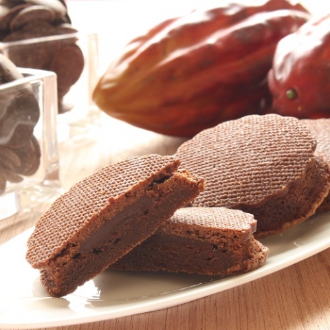 �J�J�I�̉�