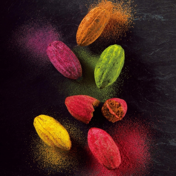 ラ テール オンラインショップ