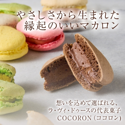 �R�R�����M�t�g