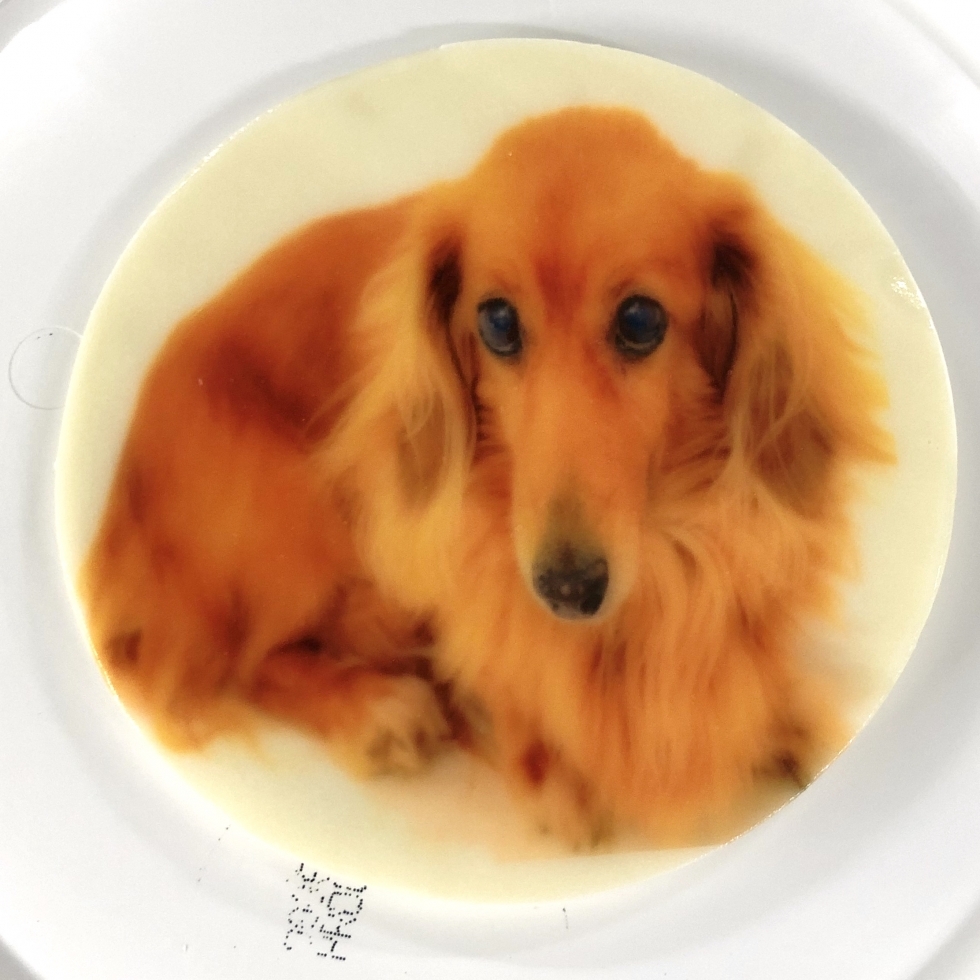 プリントイラストケーキ