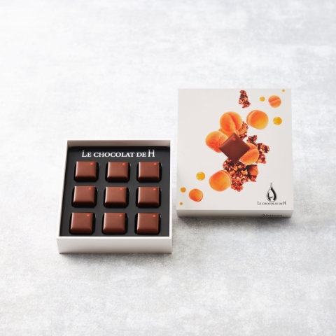 フリュイ ショコラ アプリコット<br>Fruits chocolat Abricot