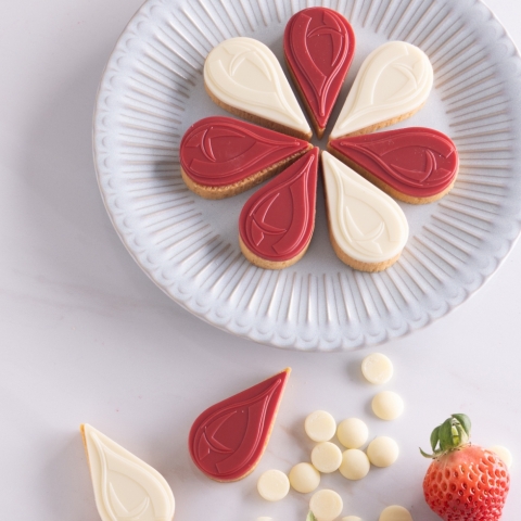 �J�J�I�y�^�� �t���[�Y