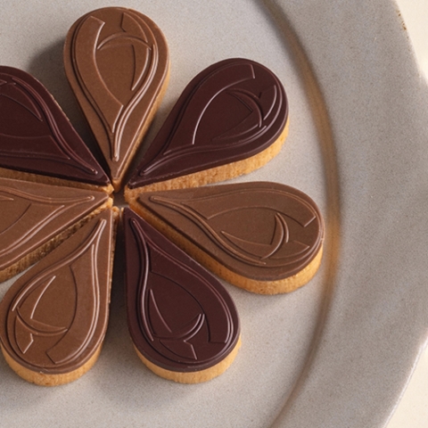 �J�J�I�y�^�� �J�t�F