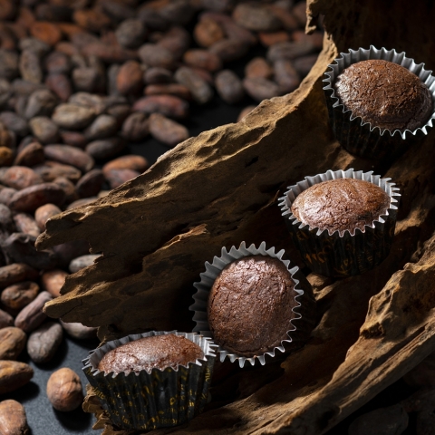 �v�`�V���R���Z�b�g<br>�R���E12��