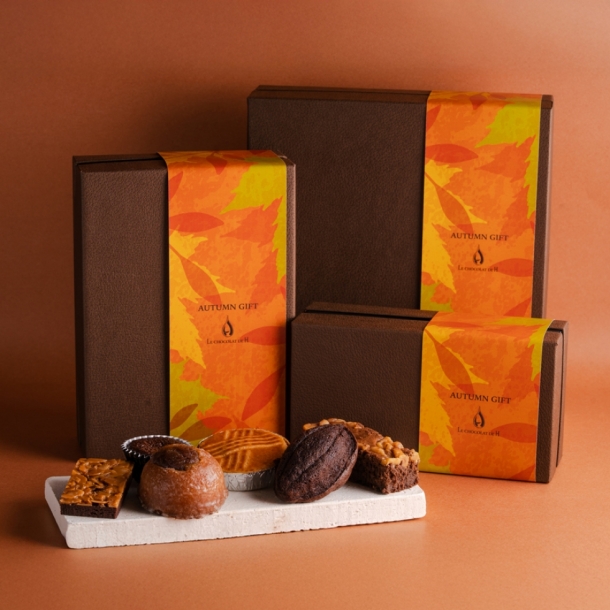 LE CHOCOLAT アラン・デュカス15個入 楽天市場】☆残り僅か☆【A配送