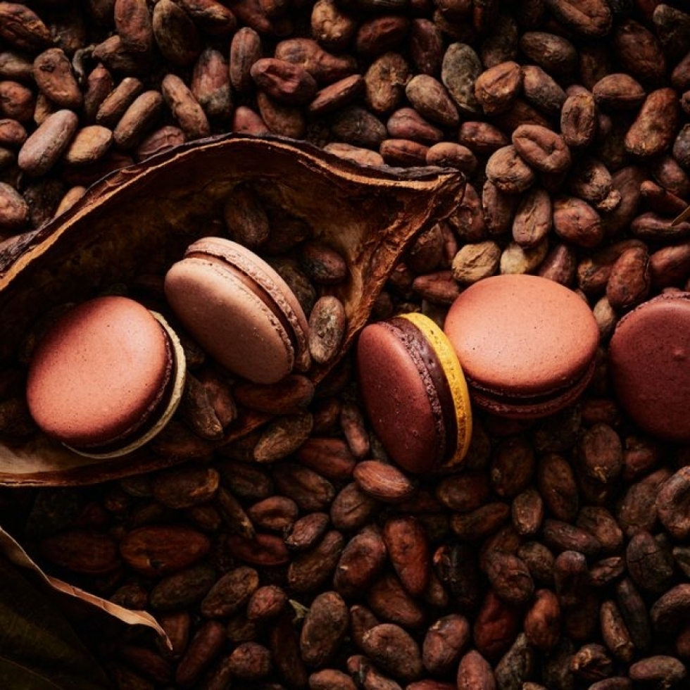 FARM to BAR �}�J�����V���R��5��