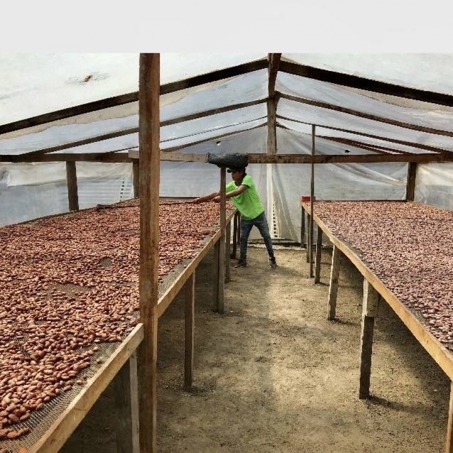 ペルー ナティーボ 70% LE CHOCOLAT DE H