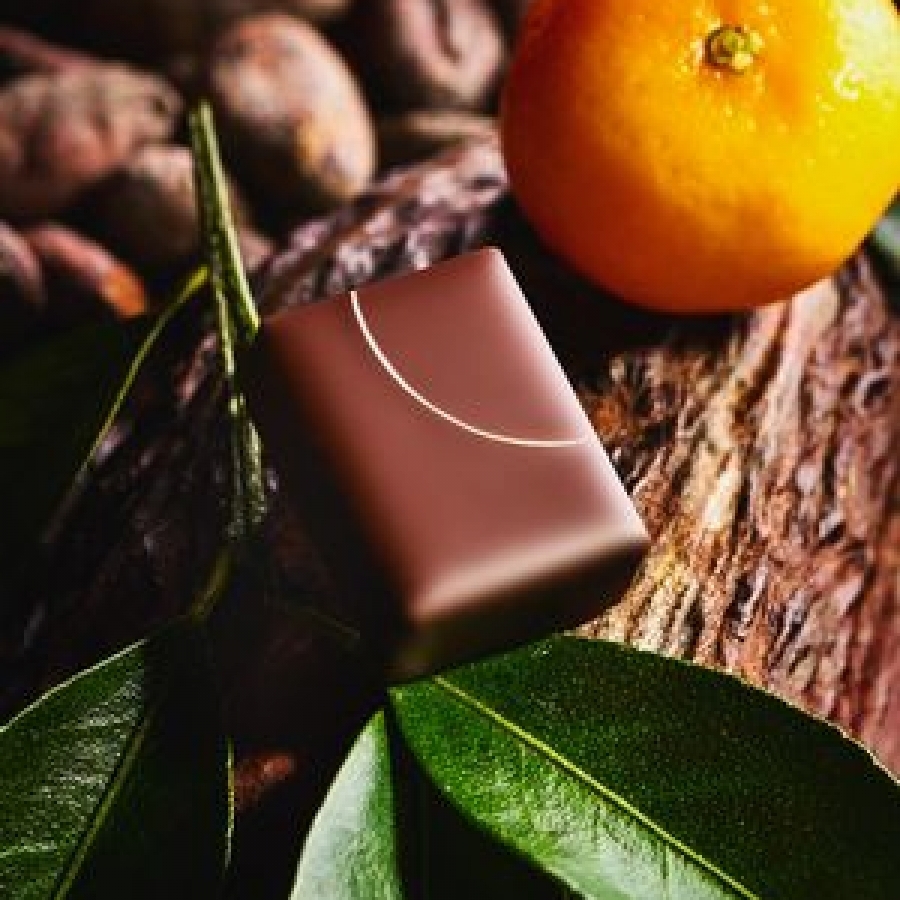 日本柑香【金賞受賞作品】 LE CHOCOLAT DE H