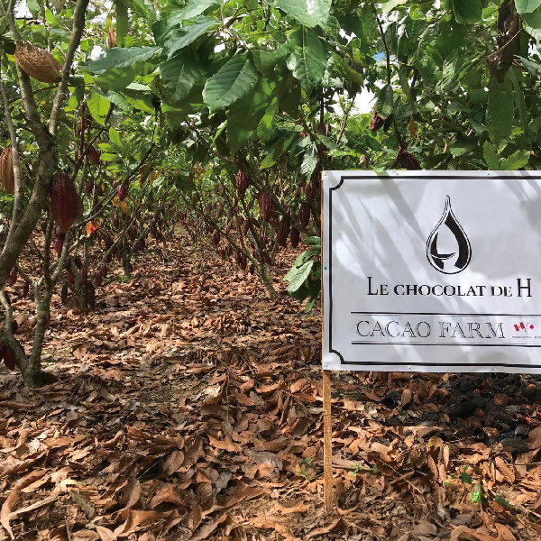 FARM to BAR