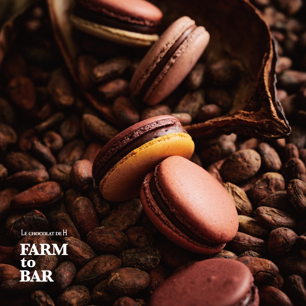 LE CHOCOLAT DE H オンラインショップ