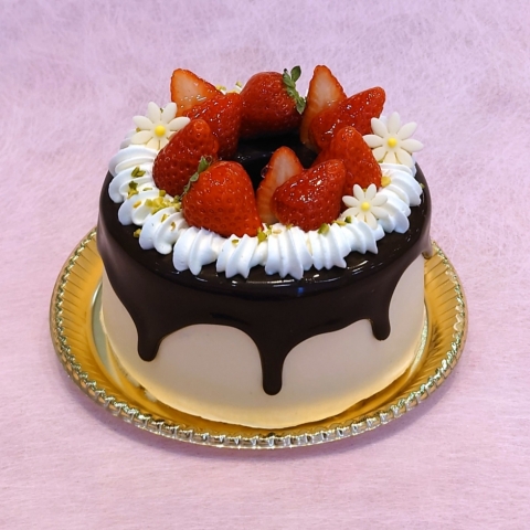 �X�y�V�����`���R�V�t�H��