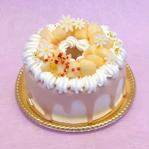 �X�y�V���������V�t�H��(����)