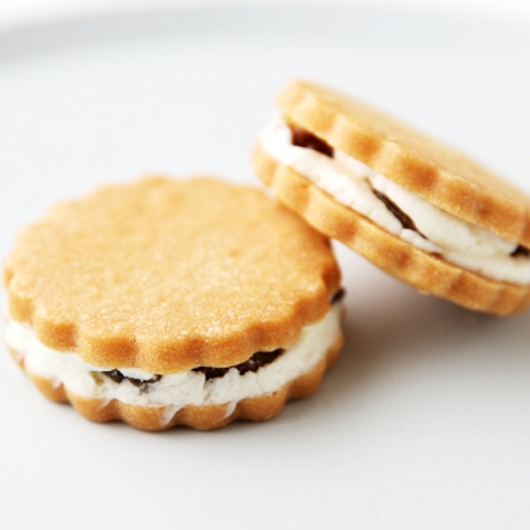 ���[�Y���T�u��