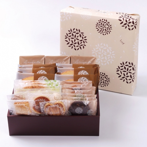 ���[�t�M�t�g5000